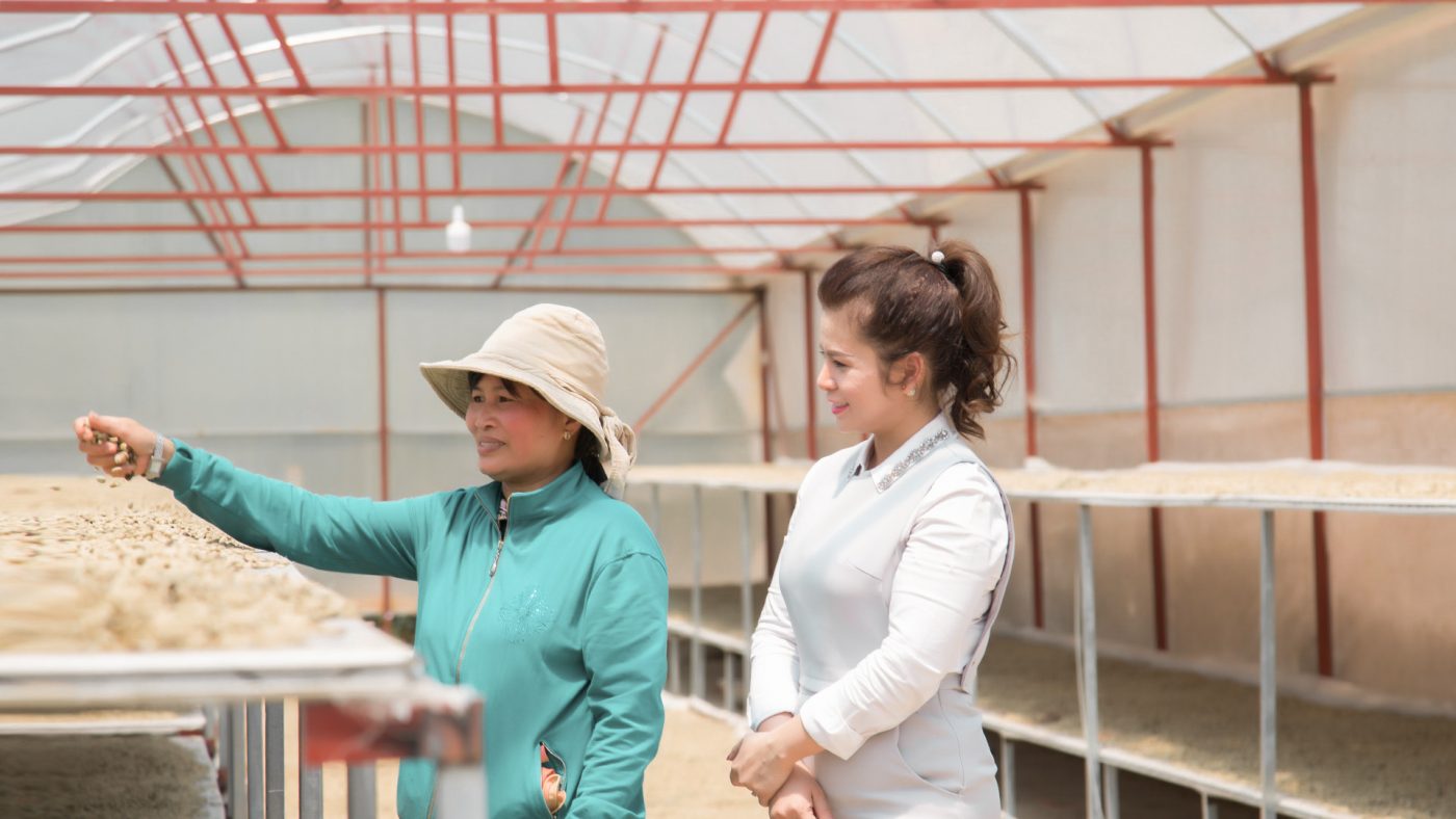 Câu chuyện của King Coffee: Niềm tự hào của quốc gia và giá trị toàn cầu